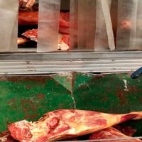 Zapala: Bromatología decomisó 1290 kilos de carne de dudosa procedencia