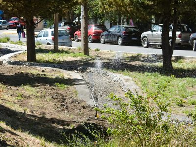 Zapala: se realizó de manera exitosa la prueba del nuevo sistema de riego en la calle Trannack