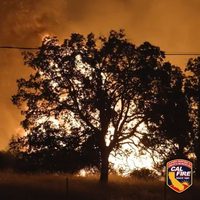 Ascienden a más de 80 mil los evacuados en Los Ángeles por incendios que avanzan sin control