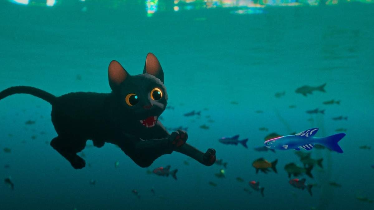 El gato en el agua. Prodigio animado