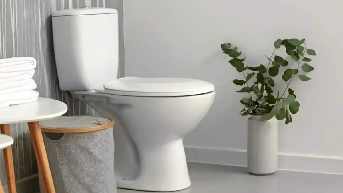 Baño. Fuente: (Twitter)