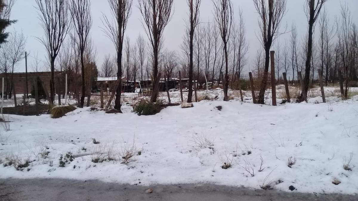 ¿Volverá a nevar en Neuquén capital?. Fuente: (Facebook)