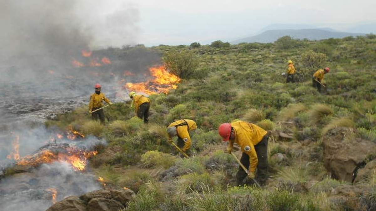 Buscan controlar los incendios en la provincia. Fuente: (Neuquén Informa).