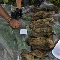 Fueron en busca de trabajo… y desaparecieron masivamente en el norte de Veracruz
