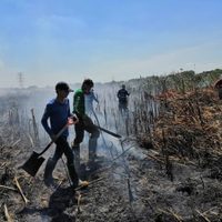 Medio centenar de incendios arrasa con más de cuatro mil hectáreas en Tabasco