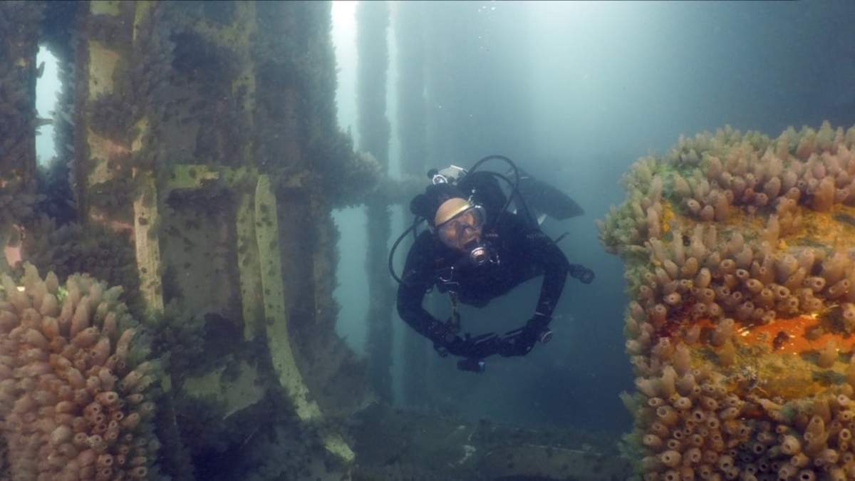 Buceo. Fuente: (Twitter)