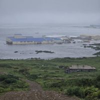 Tsunami golpea las costas de Rusia tras un sismo de magnitud 8.7 (Video)