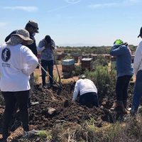 Colectivo localiza fosa y dos osamentas completas en Sinaloa