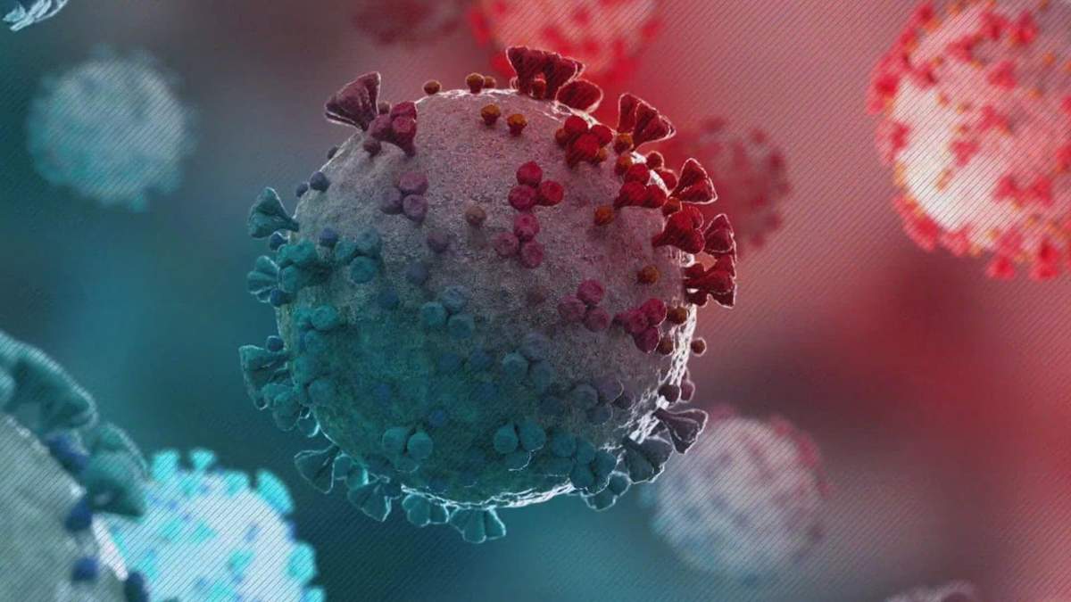El coronavirus, cuya última mutación es la variante Ómicron. Fuente: (Twitter)