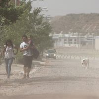 Alertan por el fuerte viento en Zapala con ráfagas que podrían llegar a los 116 km/h