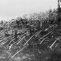Computación: ¿Qué pasó realmente en Tunguska?