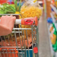 Canasta básica: cuánto dinero necesita una familia promedio para no ser pobre en abril 2025