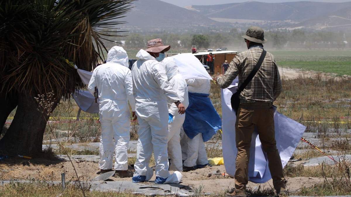 Trabajos de investigación en la fosa del rancho La Trinidad de Palmar de Bravo, Puebla
