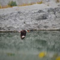 Cemex cuida la naturaleza y la inmortaliza en fotos