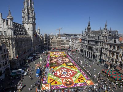 El espectáculo de la alfombra de casi 400 mil flores volvió a Bélgica tras cuatro años de ausencia