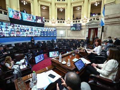 El Senado recibió el proyecto de Interrupción Voluntaria del Embarazo: cuándo se debatiría