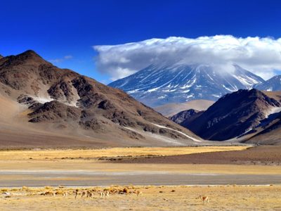 Cinco provincias logran el certificado de destino seguro