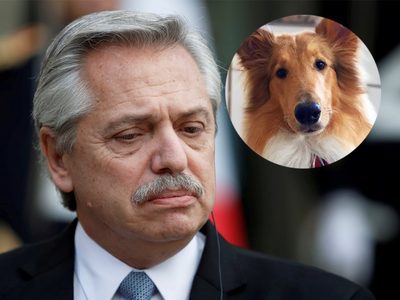 Polémica por el vuelo de Alberto Fernández con su perro Dylan