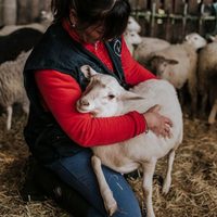 La reinvención del productor rural: del campo a los pedidos online