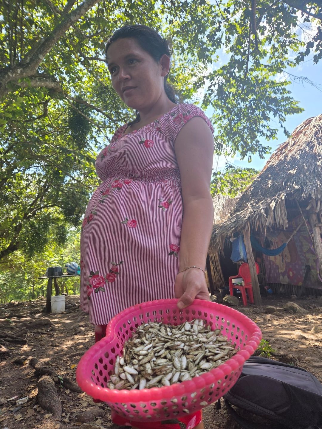 Mujer migrante de Guatemala sostiene la semilla seca de la calabaza chihua, una de las que cosechan para subsistir Foto Claudia V Arriaga Durán