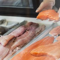 Secuestraron 150 kilos de pescado en la previa a Semana Santa