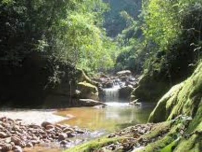 El paraíso escondido con fauna salvaje que pocos conocen