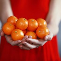 Aprovechá las mandarinas que están de estación y prepará este snack dulce ideal para cualquier ocasión