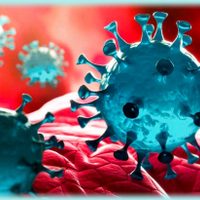 Atención Neuquén: se confirmaron 12 nuevos casos de coronavirus