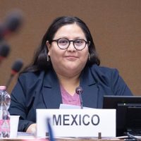 Citlalli Hernández presume programas sociales y baja de 29% en feminicidios ante la ONU