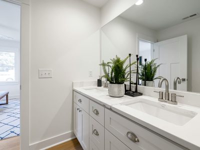 Tres plantas perfectas para embellecer un baño