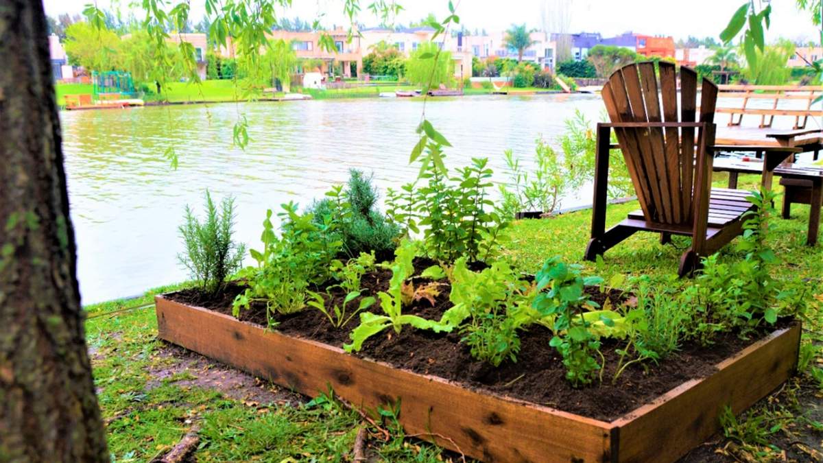 Plantas. Fuente: (X)