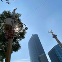 Con 21 mil 500 puntos Wifi, CDMX recibe Récord Guinness por ser la urbe más conectada del mundo