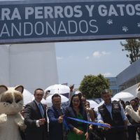 Arranca en la Cuauhtémoc el primer Hotel para Perros y Gatos Abandonados de la CDMX
