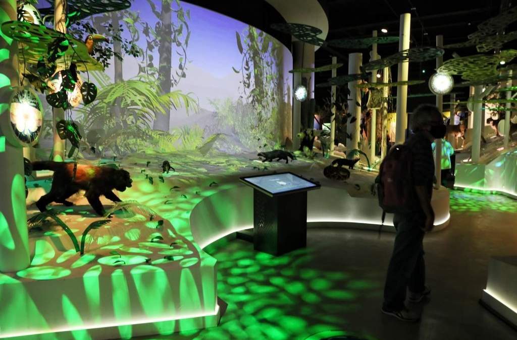 El Pabellón Nacional de la Biodiversidad en la UNAM