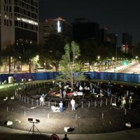 Plantan un segundo ahuehuete en la glorieta de Paseo de la Reforma
