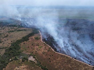 Alivio para los brigadistas: las intensas lluvias en Corrientes aplacaron los incendios