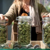 La izquierda presentó un proyecto para legalizar el uso de la marihuana