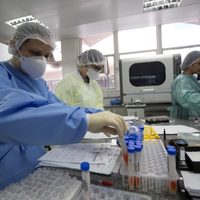 Cuánto duran los anticuerpos de coronavirus en la sangre y saliva: nuevos estudios