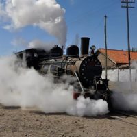 La Trochita volvió a surcar la meseta rionegrina