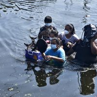 El huracán Grace ya deja varios muertos en México: se reportan graves inundaciones