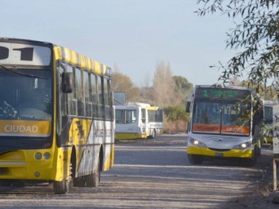 Nuevo sistema de transporte público: este viernes presentarán 3 propuestas