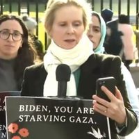 Cynthia Nixon, actriz de Sex and The City, se declara en huelga de hambre por alto al fuego en Gaza