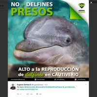 Usan a mujeres como 'carnada” para que diputados avalen iniciativa del Verde sobre delfinarios