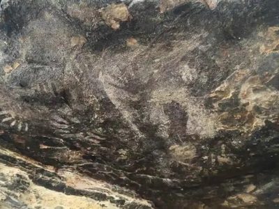 INAH confirma descubrimiento de pinturas rupestres en Tehuacán