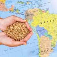 Desolador: el hambre en América Latina aumentó por quinto año consecutivo