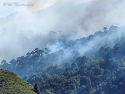 Todavía no se ha podido evaluar la dimensión del incendio en Valle Magdalena