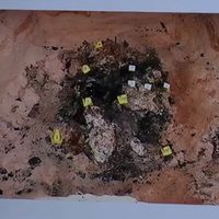 En un mes, suman 14 fosas clandestinas y 28 restos encontrados en Mexicali