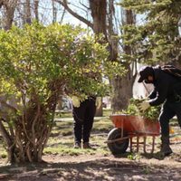 La plaza del Barrio Don Bosco de Zapala comienza a lucir como nueva