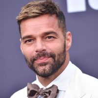 Ricky Martin alucinó a sus seguidores de Instagram con una tierna postal de su pequeño hijo