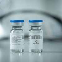 Esperanza argentina: comienzan los testeos en humanos del suero hiperinmune contra el coronavirus